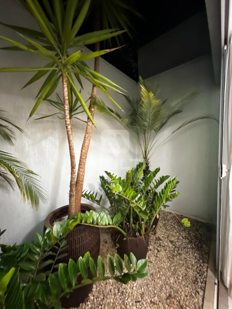 Casa, 3 quartos, 235 m² - Foto 4
