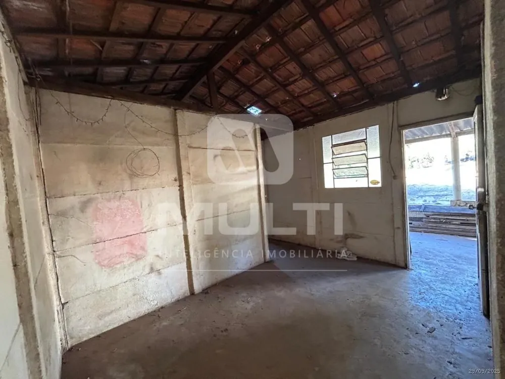 Chácara, 3 quartos - Foto 12