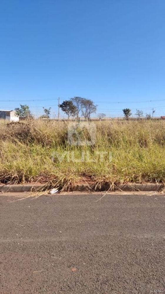 Terreno, 250 m² - Foto 1