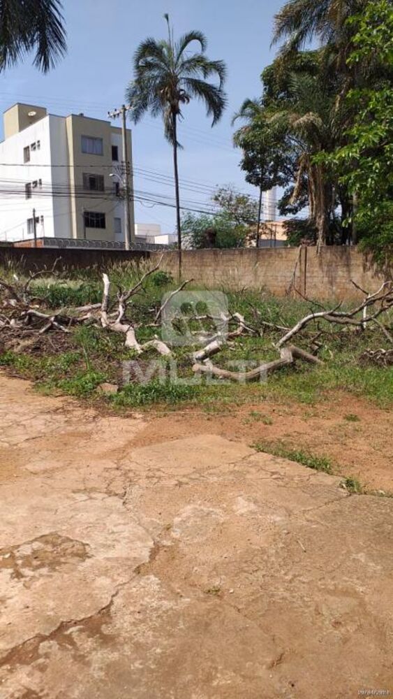 Chácara, 1 quarto - Foto 2