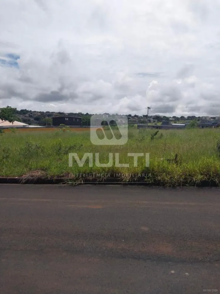 Terreno, 250 m² - Foto 3