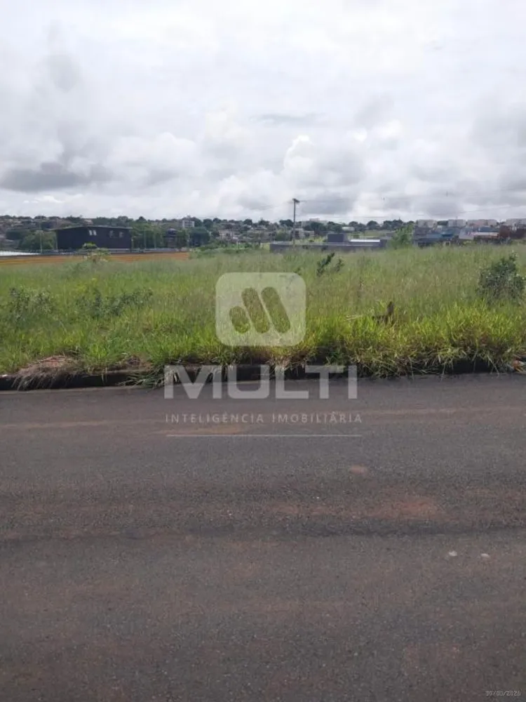 Terreno, 250 m² - Foto 1
