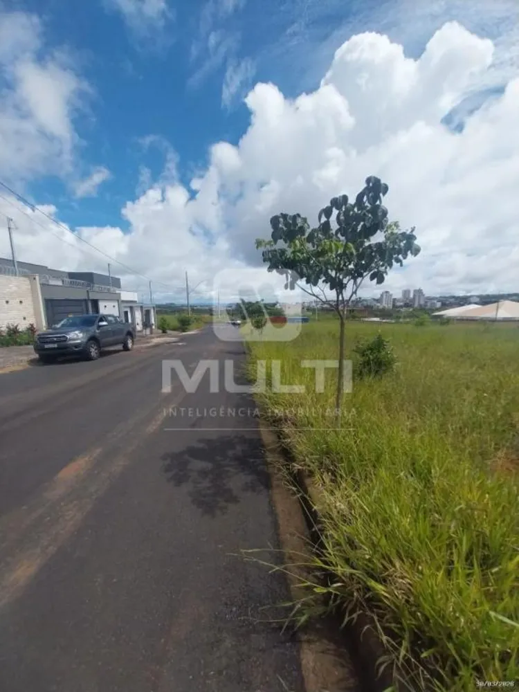 Terreno, 250 m² - Foto 4
