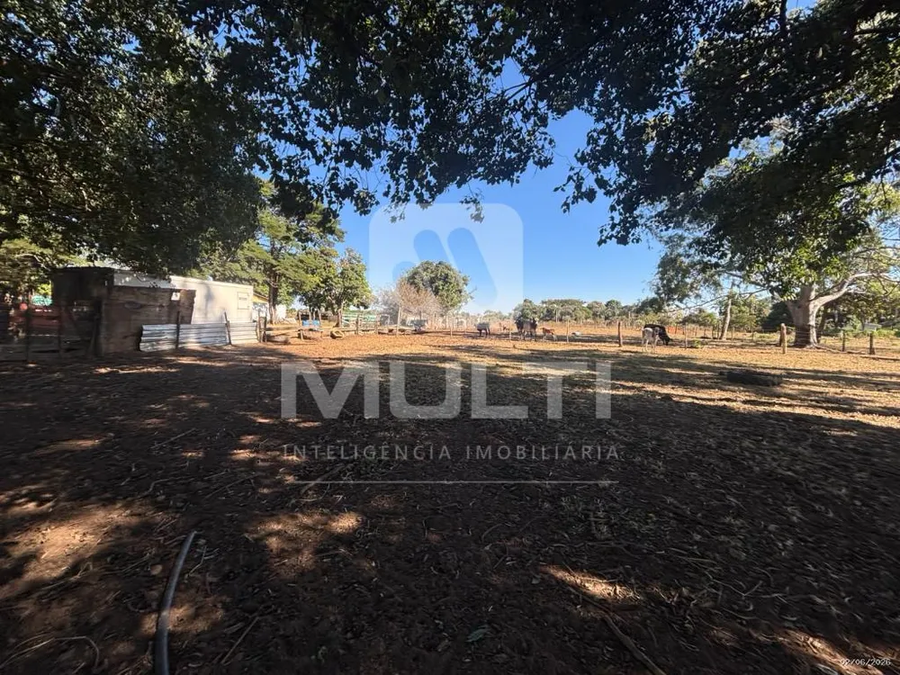 Chácara, 1 quarto - Foto 4