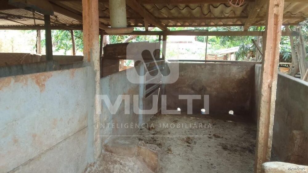 Chácara, 2 quartos - Foto 11