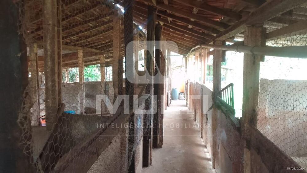 Chácara, 2 quartos - Foto 10