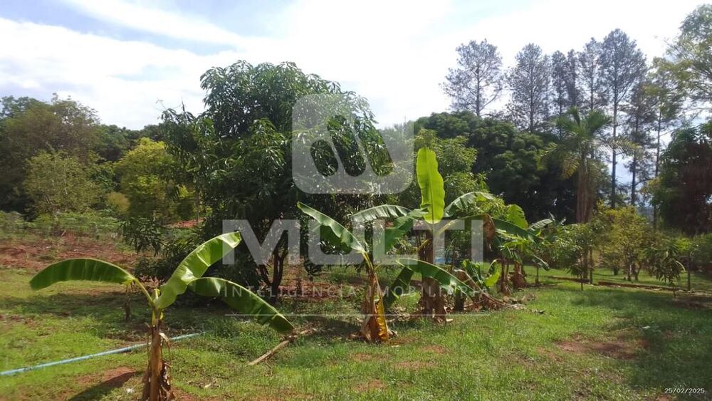 Chácara, 2 quartos - Foto 15