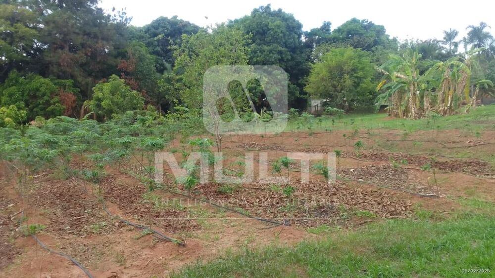 Chácara, 2 quartos - Foto 20