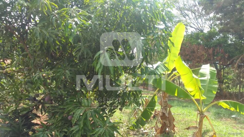 Chácara, 2 quartos - Foto 16