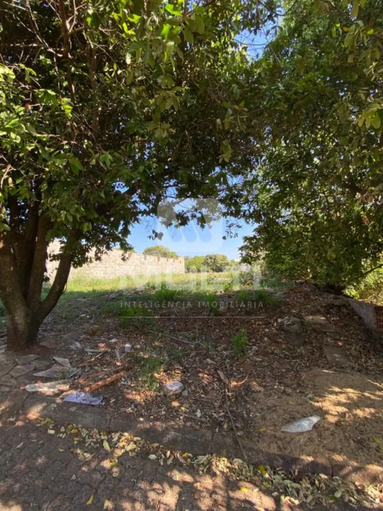 Apartamento, 3 quartos, 71 m² - Foto 2