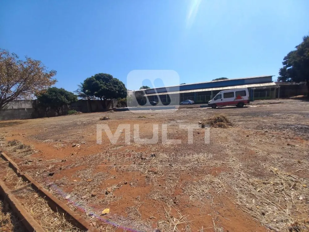 Casa, 1 quarto, 1000 m² - Foto 1