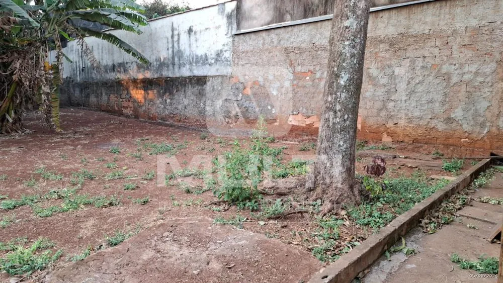 Casa, 5 quartos, 170 m² - Foto 9