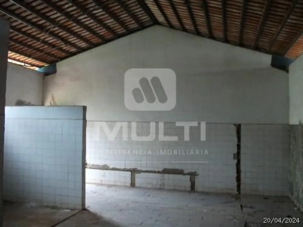 Casa, 1 quarto, 280 m² - Foto 6