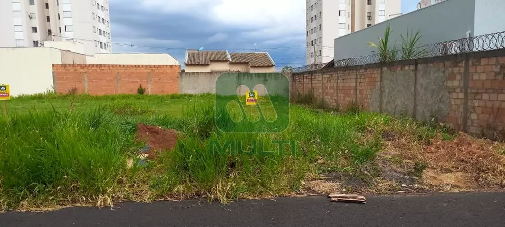 Terreno à venda com 1 quarto, 250m² - Foto 3