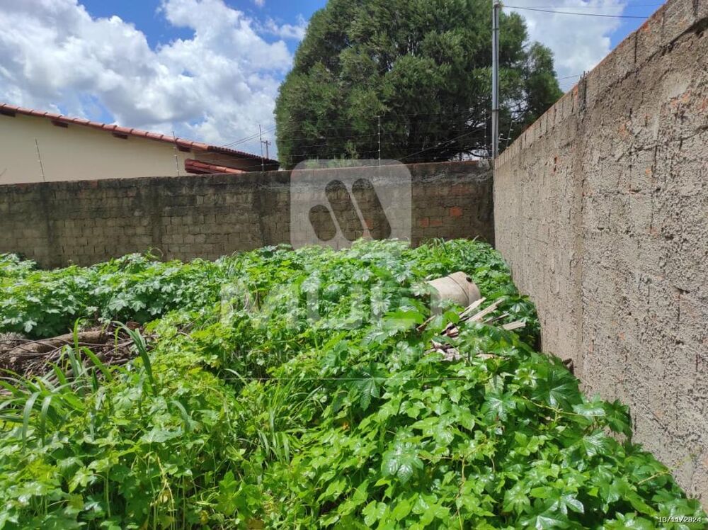 Terreno à venda com 1 quarto, 360m² - Foto 7