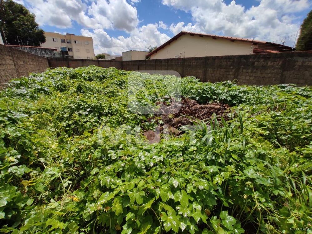 Terreno à venda com 1 quarto, 360m² - Foto 1