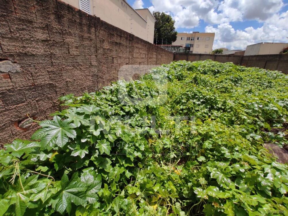 Terreno à venda com 1 quarto, 360m² - Foto 6