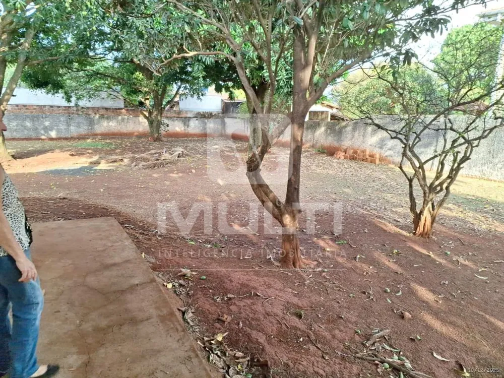 Casa, 4 quartos, 254 m² - Foto 12