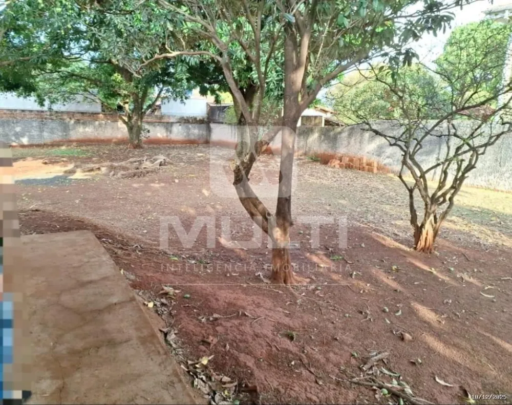Casa, 4 quartos, 254 m² - Foto 11