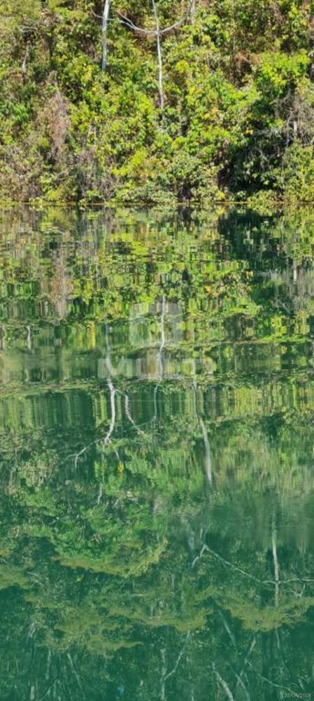 Chácara, 2 quartos - Foto 6