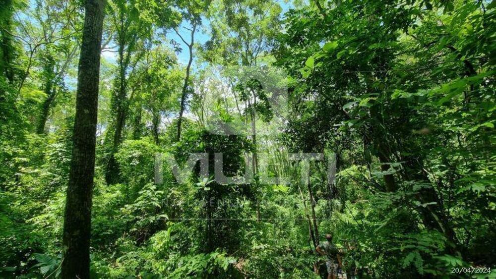 Chácara, 2 quartos - Foto 4