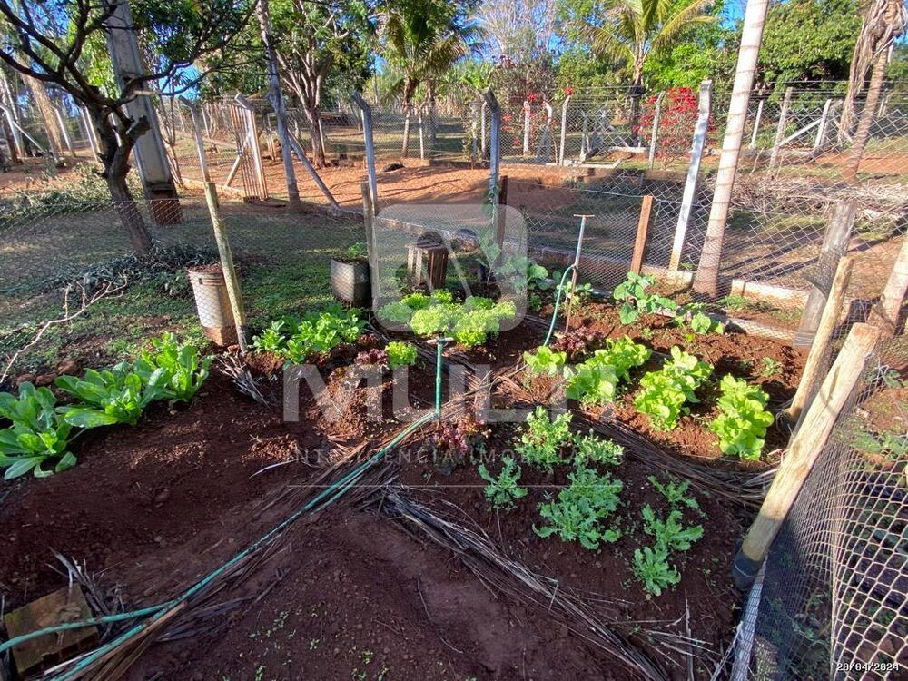 Chácara, 2 quartos - Foto 16