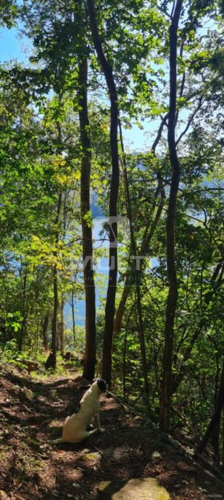 Chácara, 2 quartos - Foto 11