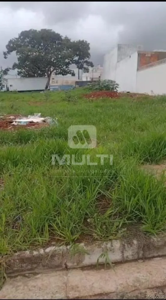 Terreno, 250 m² - Foto 4