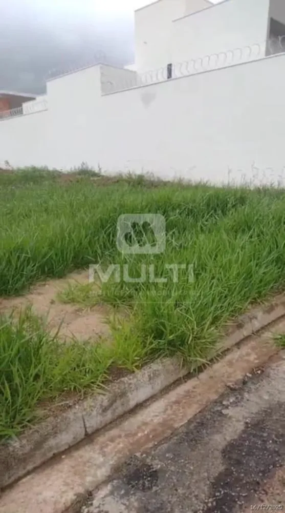 Terreno, 250 m² - Foto 3