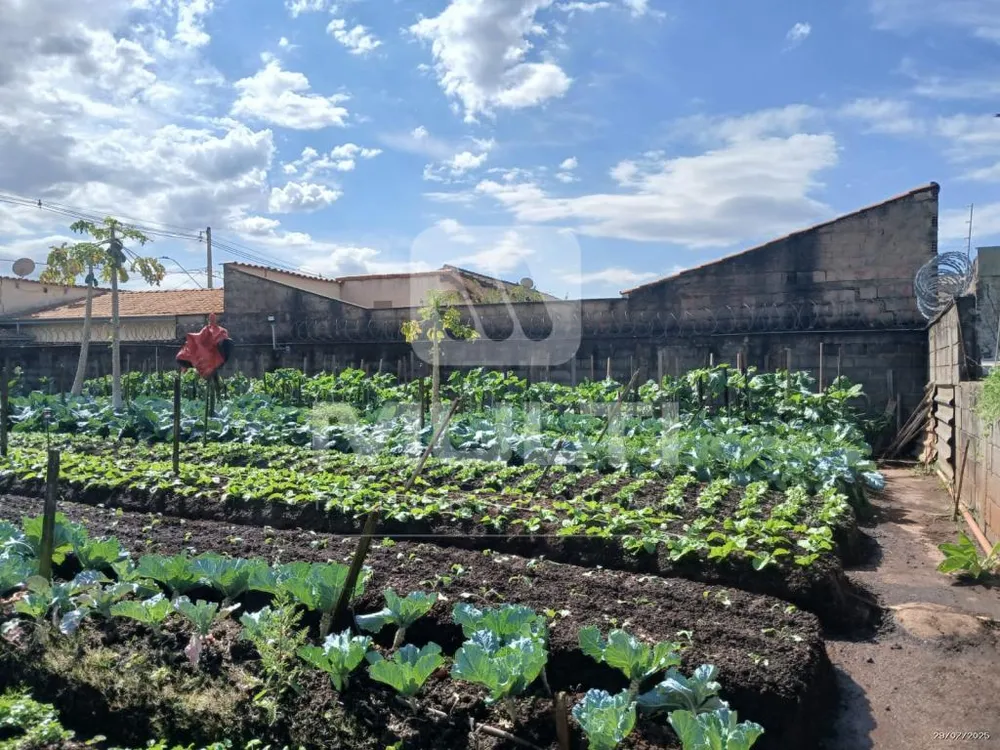 Terreno, 100 m² - Foto 4