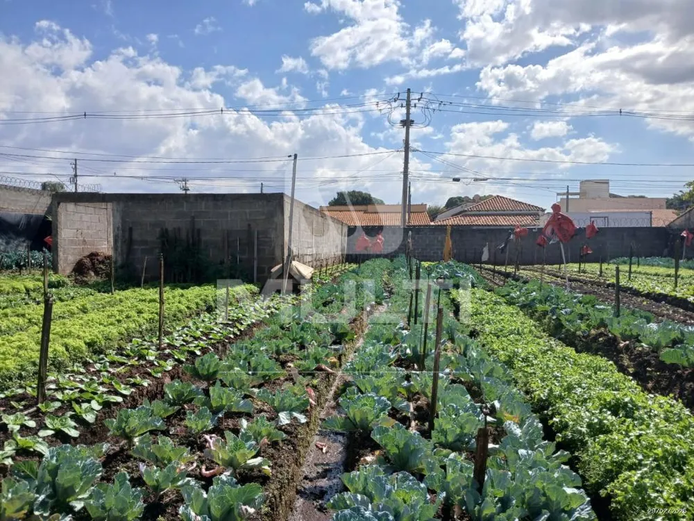 Terreno, 100 m² - Foto 2