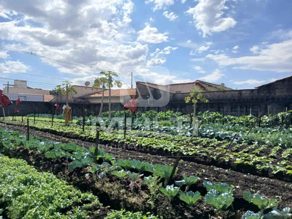 Terreno, 100 m² - Foto 1