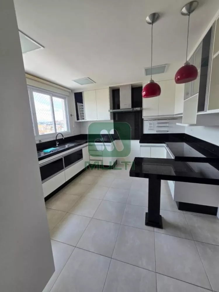 Apartamento à venda com 3 quartos, 185m² - Foto 11