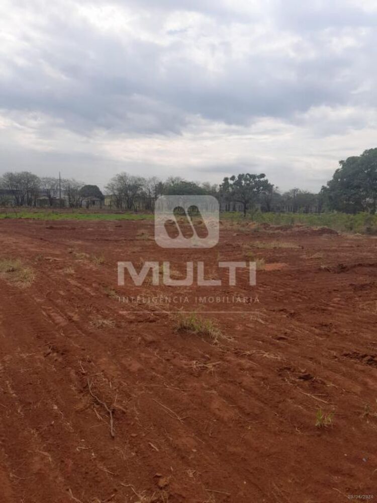 Terreno, 2353 m² - Foto 4