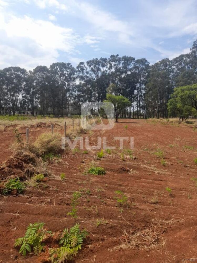 Terreno, 2353 m² - Foto 14