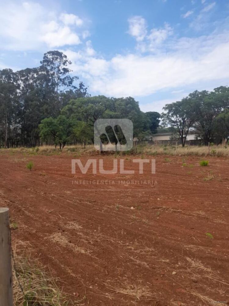 Terreno, 2353 m² - Foto 8