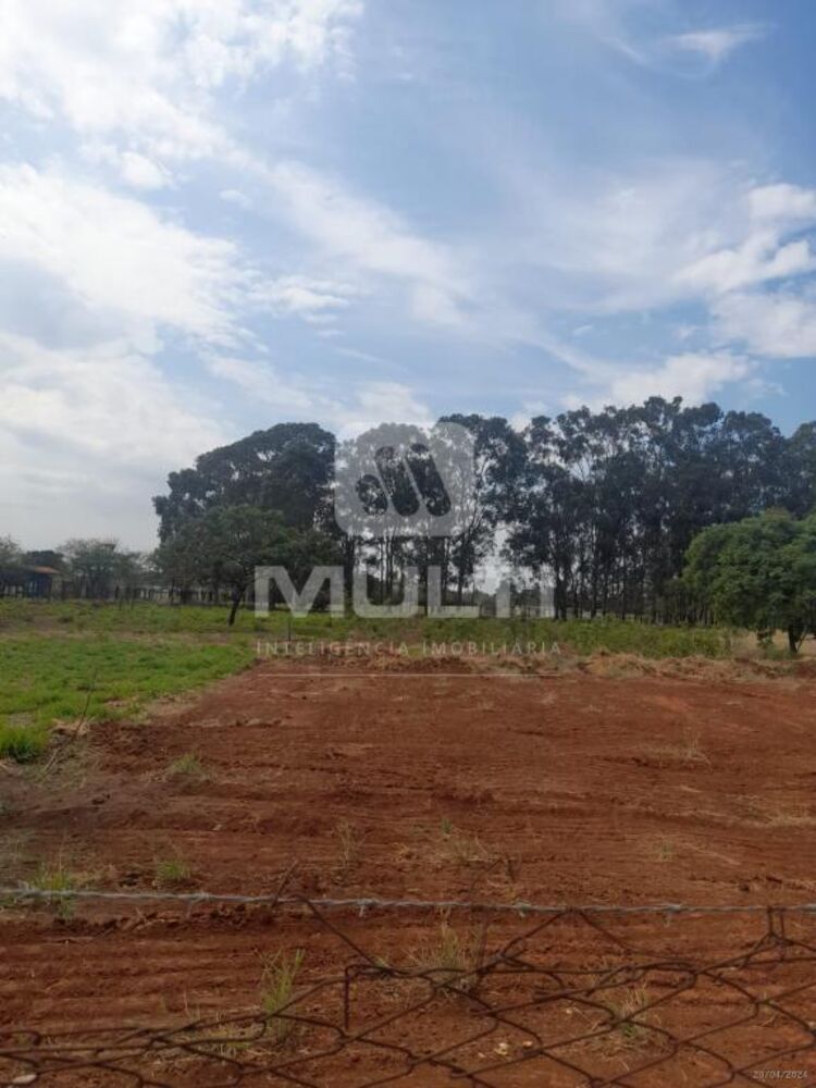 Terreno, 2353 m² - Foto 13