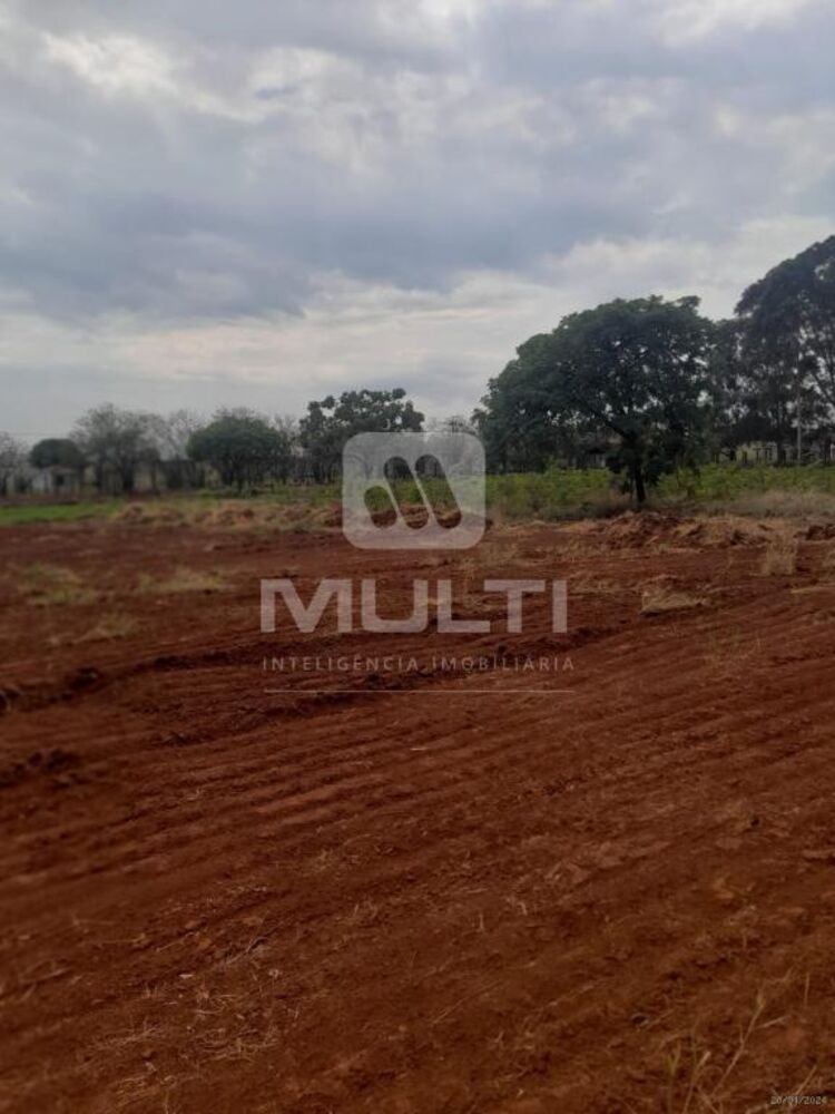 Terreno, 2353 m² - Foto 6