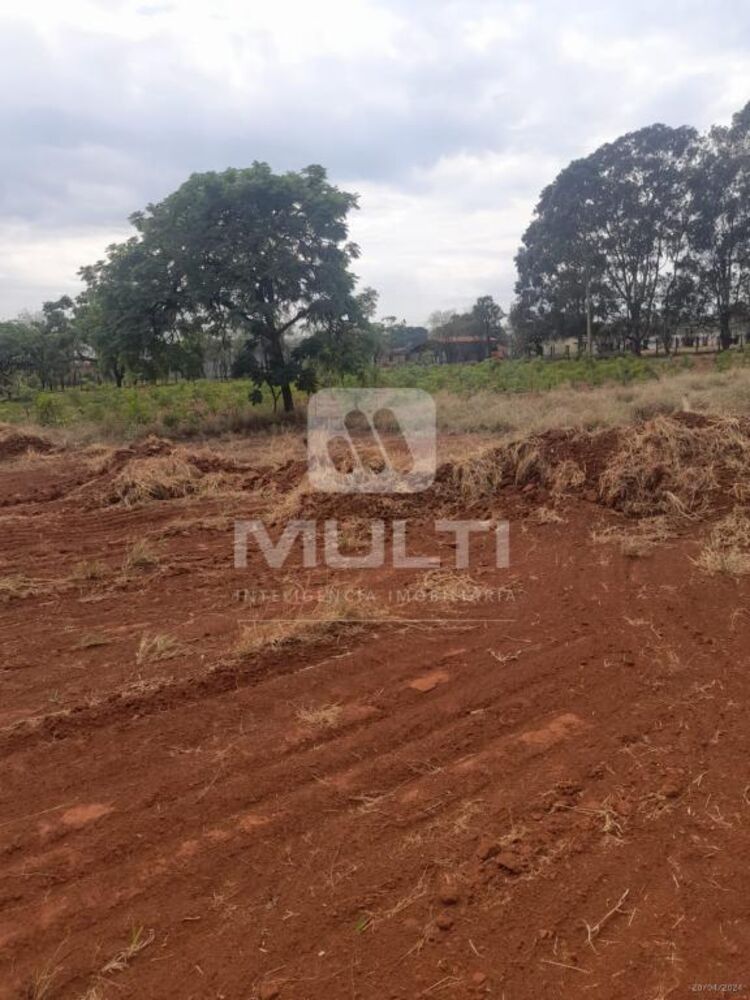 Terreno, 2353 m² - Foto 7