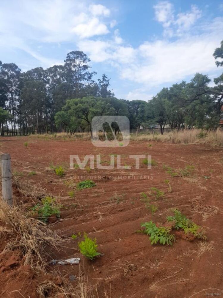 Terreno, 2353 m² - Foto 12