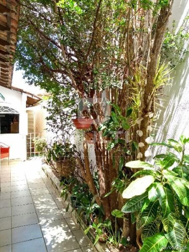 Casa, 4 quartos, 364 m² - Foto 23