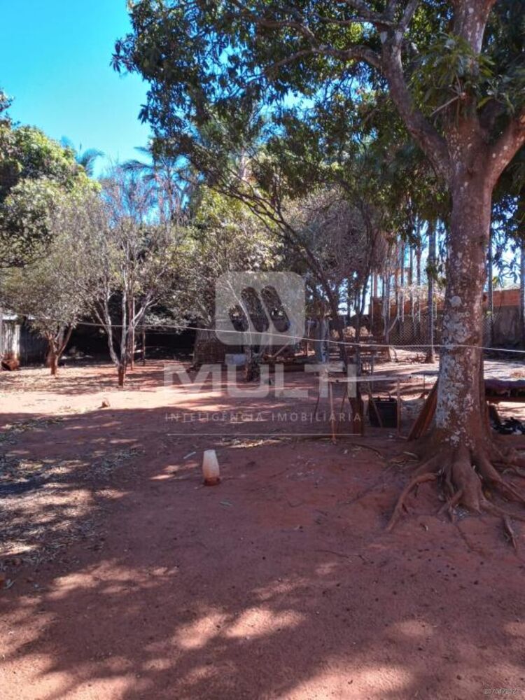 Chácara, 4 quartos - Foto 4