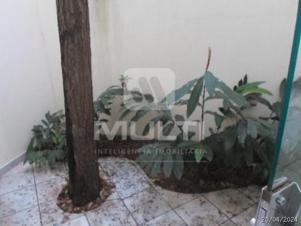 Casa, 4 quartos, 331 m² - Foto 3