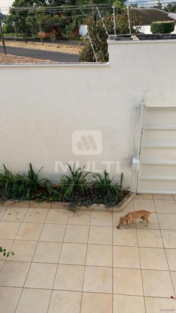 Casa, 3 quartos, 350 m² - Foto 6