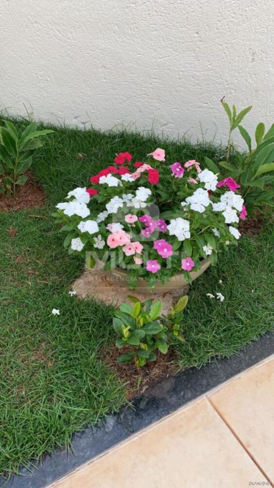 Casa, 3 quartos, 350 m² - Foto 18