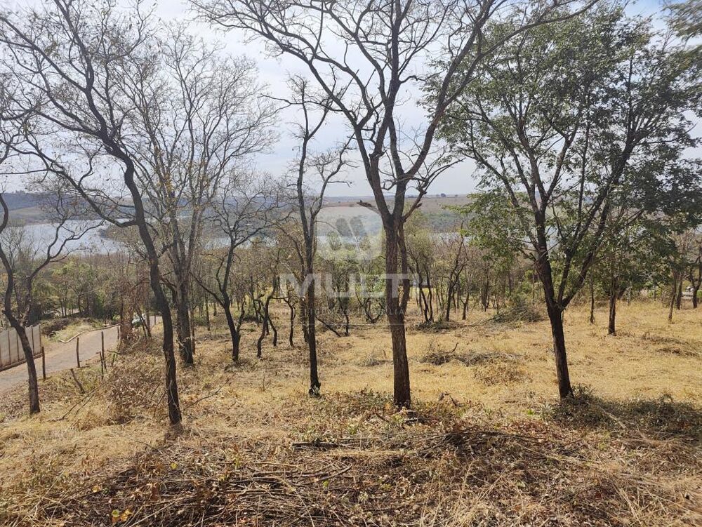 Chácara à venda com 1 quarto, 5000m² - Foto 3