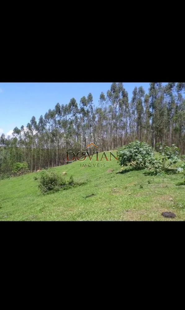 Fazenda, 2 hectares - Foto 12