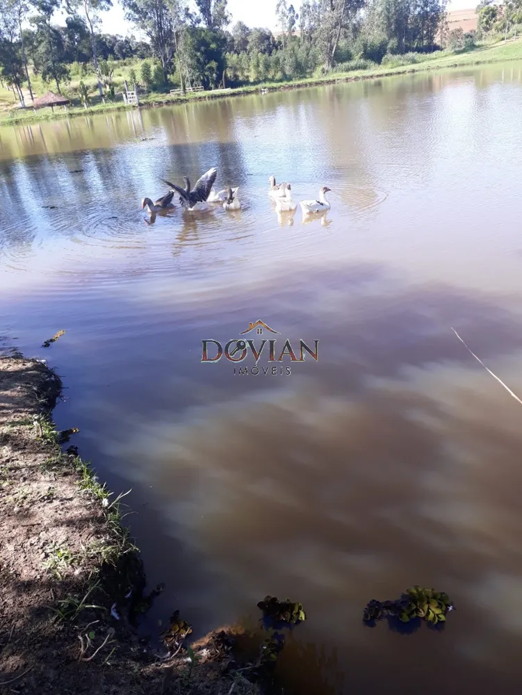 Fazenda, 2 hectares - Foto 3