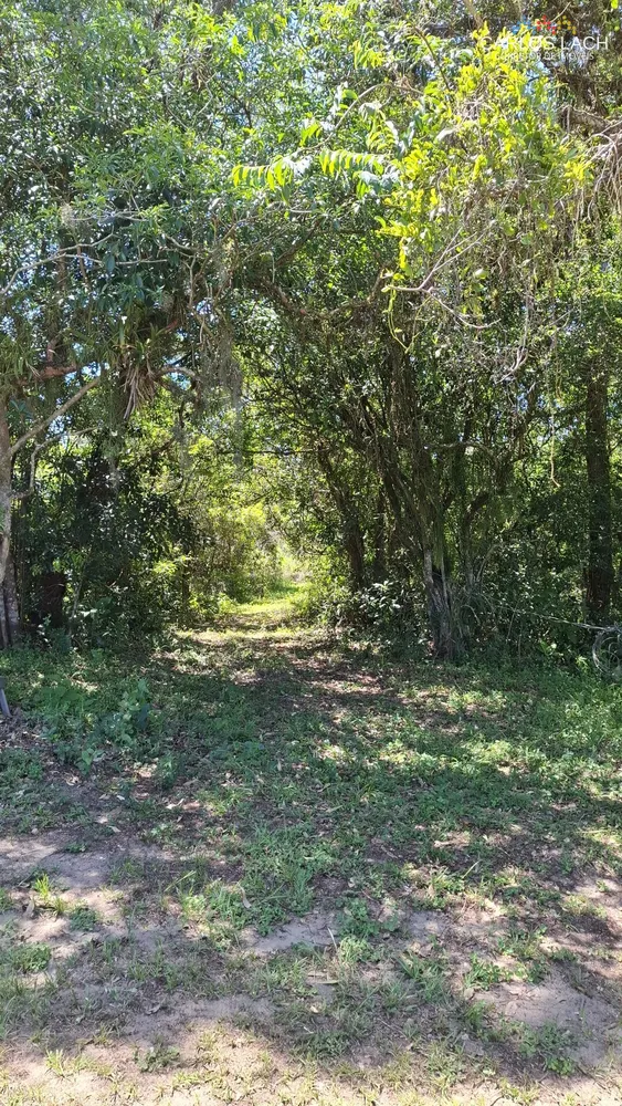 Chácara, 2 quartos, 15 hectares - Foto 5