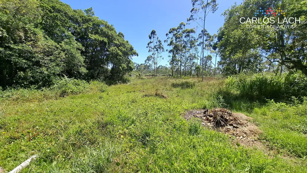 Chácara, 2 quartos, 15 hectares - Foto 6